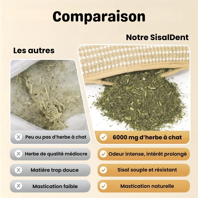 Comparaison SisalDent vs coussin herbe à chat classique - catnip haute qualité intégré, tissu résistant à l'usure
