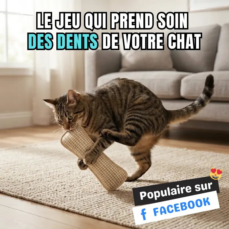 SisalDent jouet dentaire pour chat - coussin sisal à mâcher pour entretien naturel des dents et des gencives