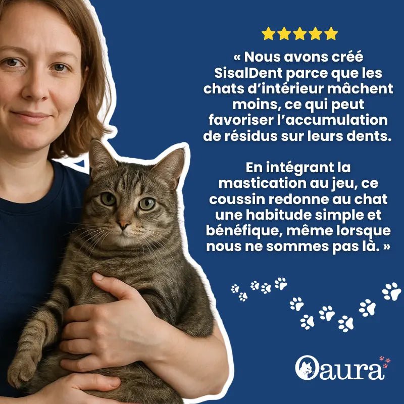 Chat d'intérieur mâchant SisalDent - coussin sisal herbe à chat conçu pour encourager la mastication naturelle