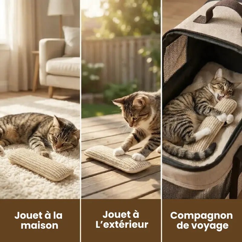 SisalDent coussin herbe à chat - utilisation à la maison, en extérieur et en voyage, léger et transportable