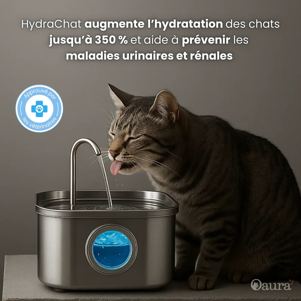 Keep your cat healthy with the Hydrachat system