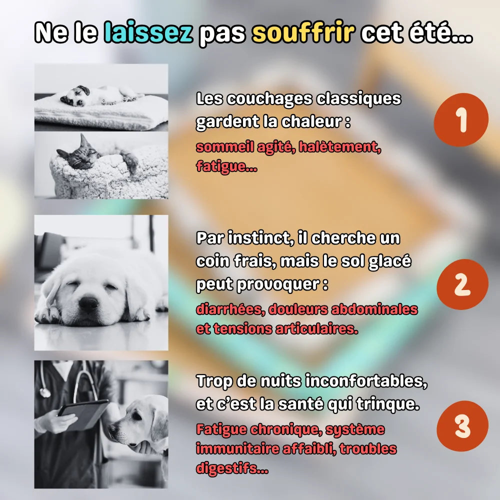 Tappetino rinfrescante per animali domestici - NooMat