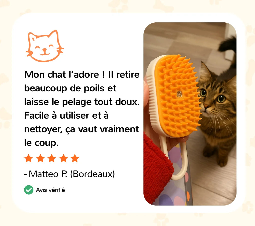 Avis client sur la brosse vapeur SteamPaw qui retire les poils morts et laisse le pelage du chat doux