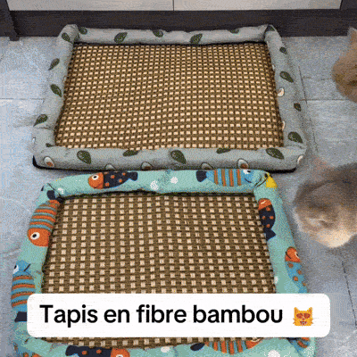 Tapis rafraîchissant NooMat pour chat utilisé en été pour garder son animal au frais